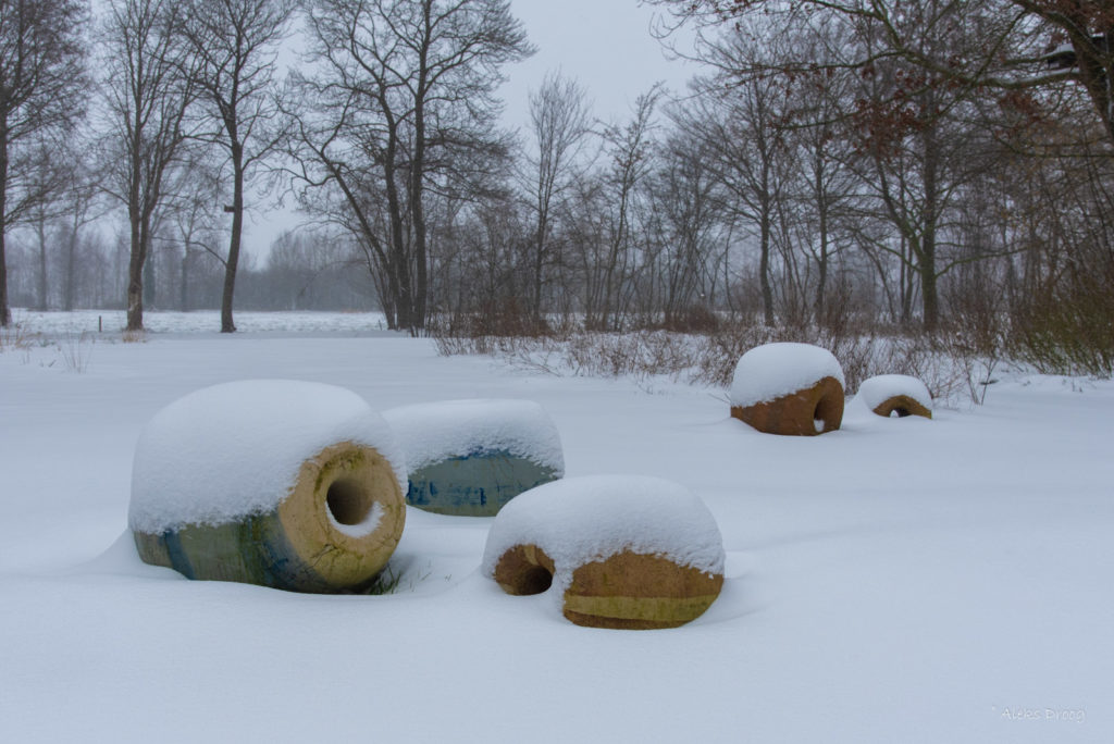 kralen in de sneeuw