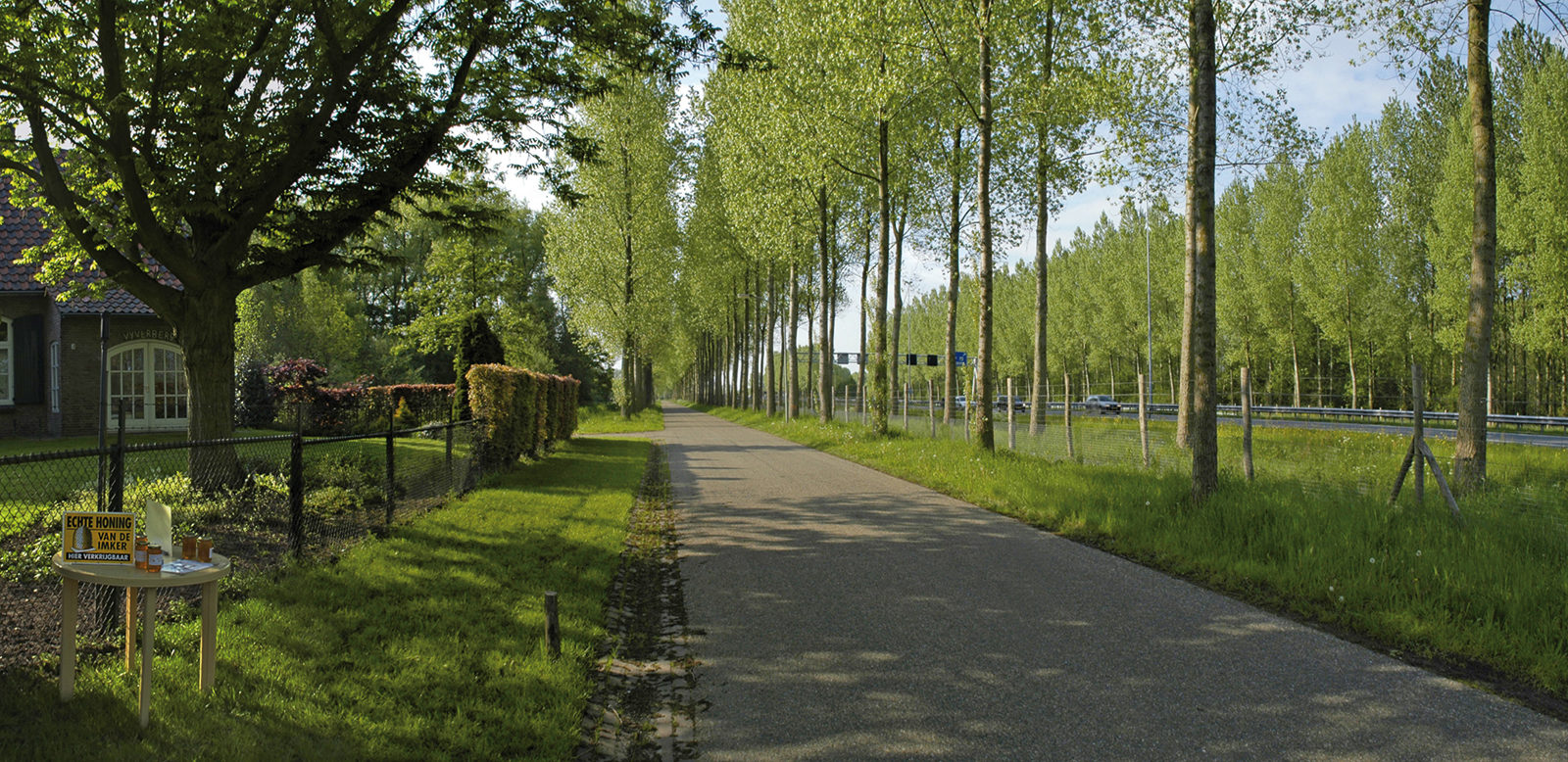 Populieren langs de A2